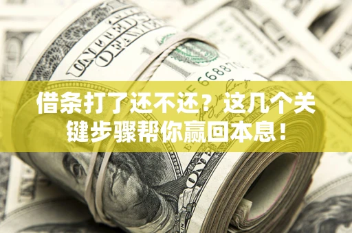 武汉借条打了还不还？这几个关键步骤帮你赢回本息！