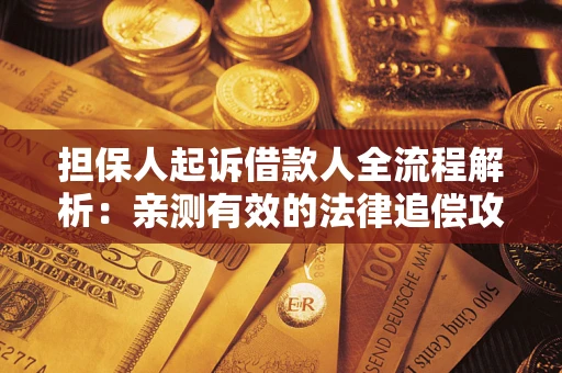 武汉担保人起诉借款人全流程解析：亲测有效的法律追偿攻略