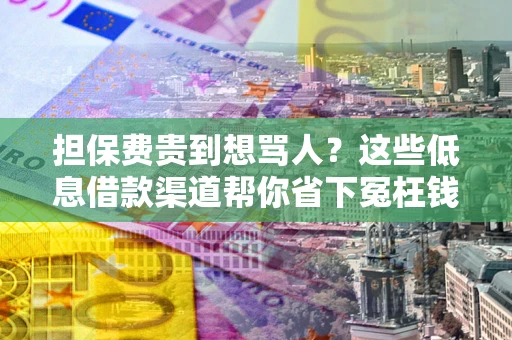 武汉担保费贵到想骂人？这些低息借款渠道帮你省下冤枉钱