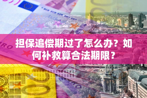 武汉担保追偿期过了怎么办？如何补救算合法期限？