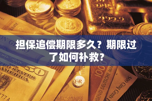 武汉担保追偿期限多久？期限过了如何补救？