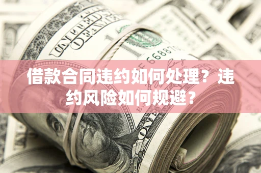 武汉借款合同违约如何处理？违约风险如何规避？