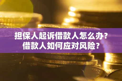 武汉担保人起诉借款人怎么办？借款人如何应对风险？
