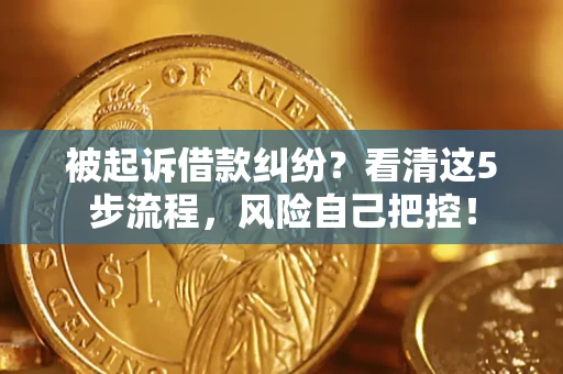 武汉被起诉借款纠纷？看清这5步流程，风险自己把控！