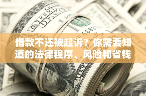 武汉借款不还被起诉？你需要知道的法律程序、风险和省钱技巧
